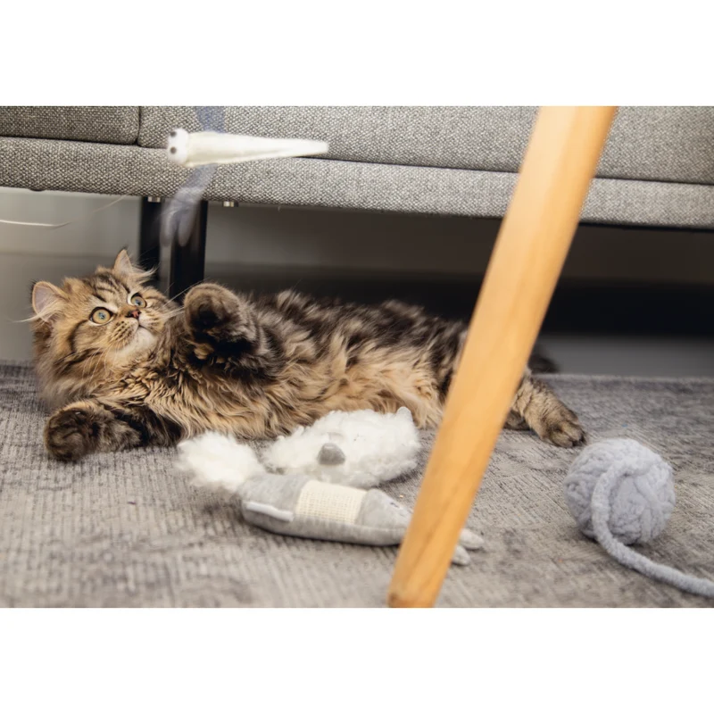 Kitten Katzenspielzeug Hase