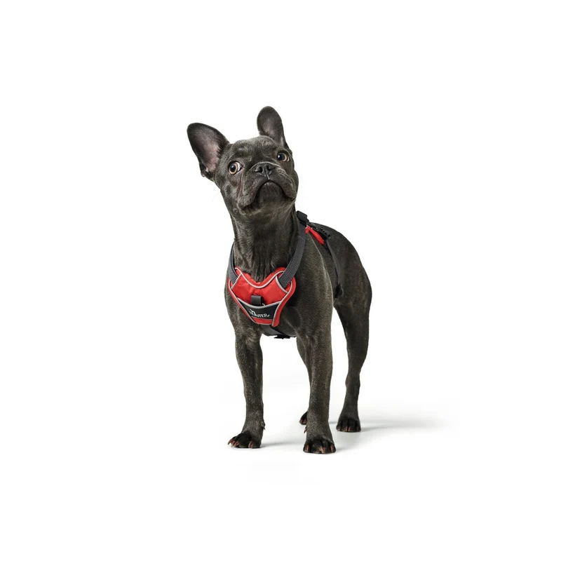 Hunter Hundegeschirr Divo