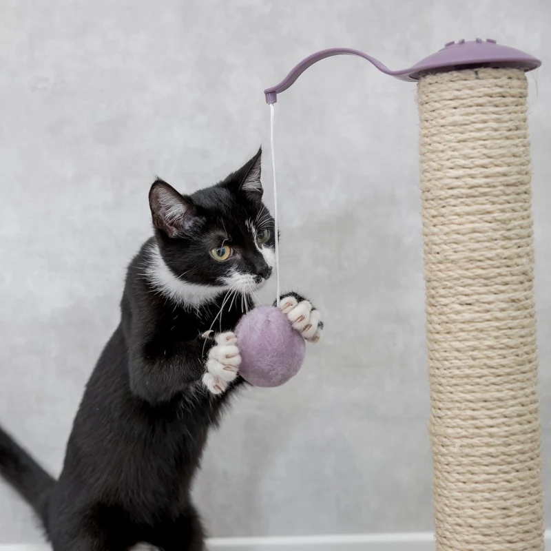 Junior Kratzstamm mit Spielzeug für Kitten