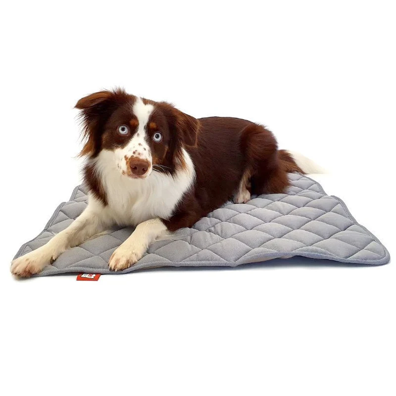 Doctor Bark Fleece Wendedecke für Hunde