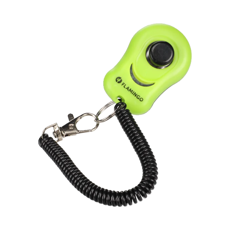 Clicker Xin – Kompakt, clever, klickbereit!