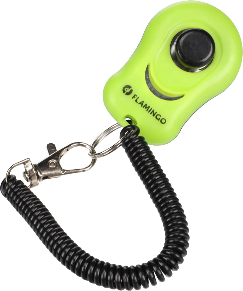 Clicker Xin – Kompakt, clever, klickbereit!