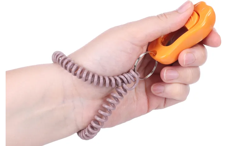 Clicker Xer – Vielseitiges Training mit dem richtigen Ton