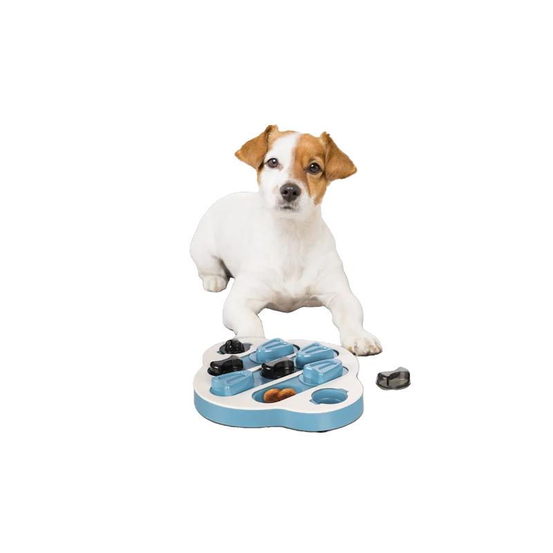 Brain Train Clyde – Der clevere Spielspaß für neugierige Hunde - Level 2