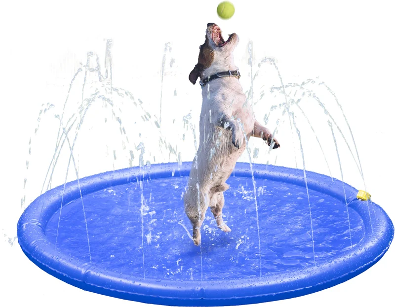 Fresk Lenny Wasserspielzeug – Sommerlicher Spritzspaß für Ihren Hund