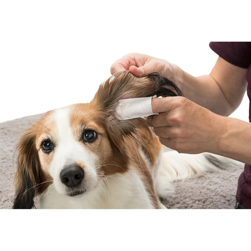 Ear Care Ohrenpflege Fingerpads