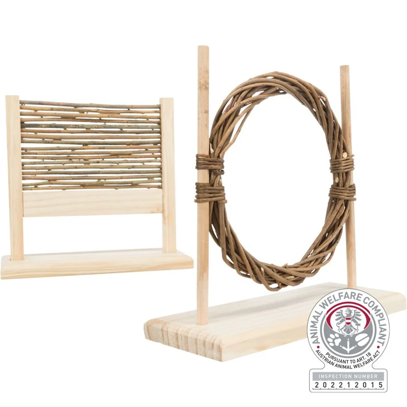 Agility-Set mit Hürde und Ring