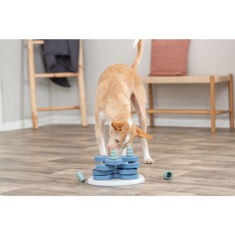 Dog Activity Strategiespiel Flower Tower für Hunde