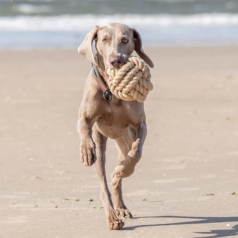BE NORDIC Tau-Ball Hundespielzeug