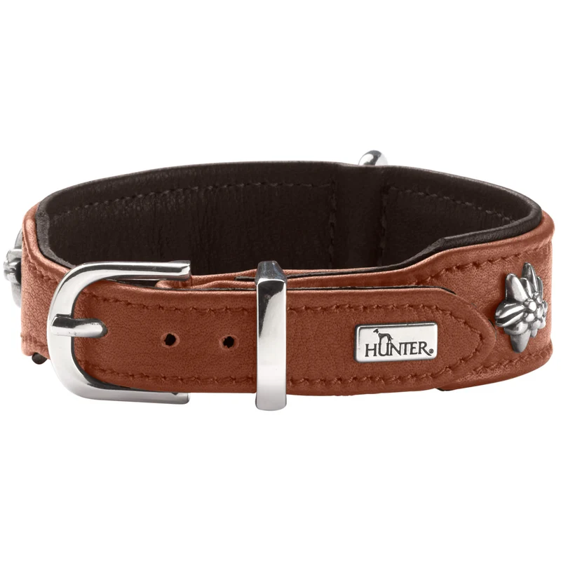 Halsband München