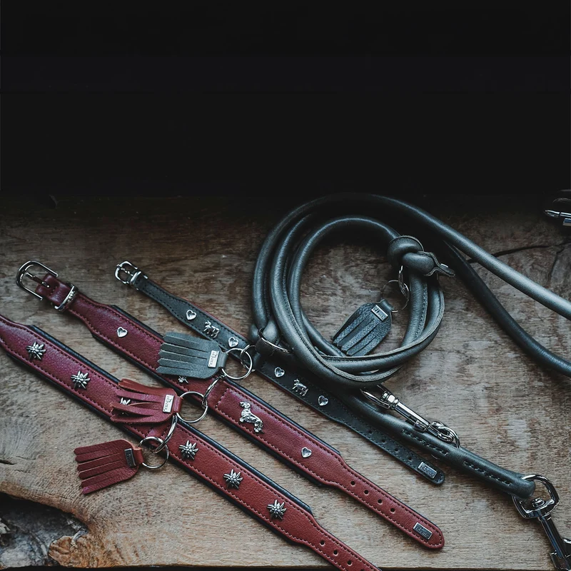 Halsband München