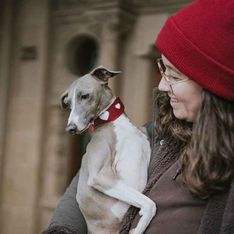Windhundhalsband Love