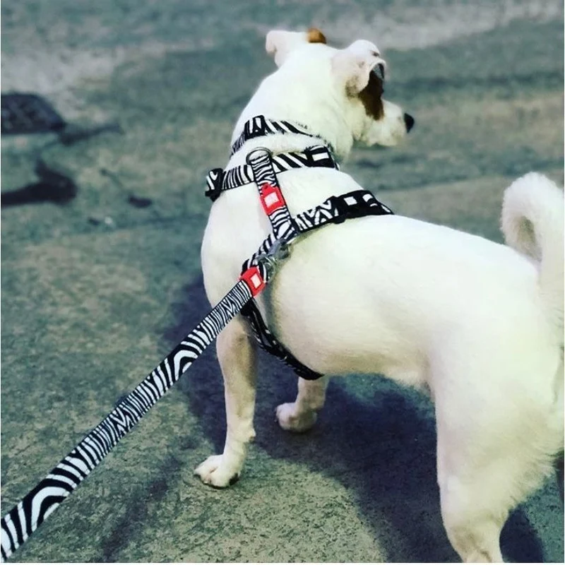 Max & Molly Original H-Geschirr Zebra Classic