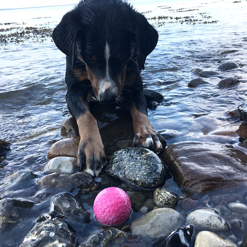 Wolters Aqua-Fun Wasserball Hundespielzeug