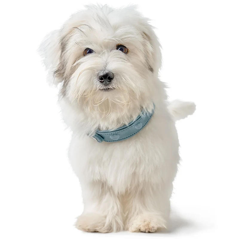 Halsband Soho X Love
