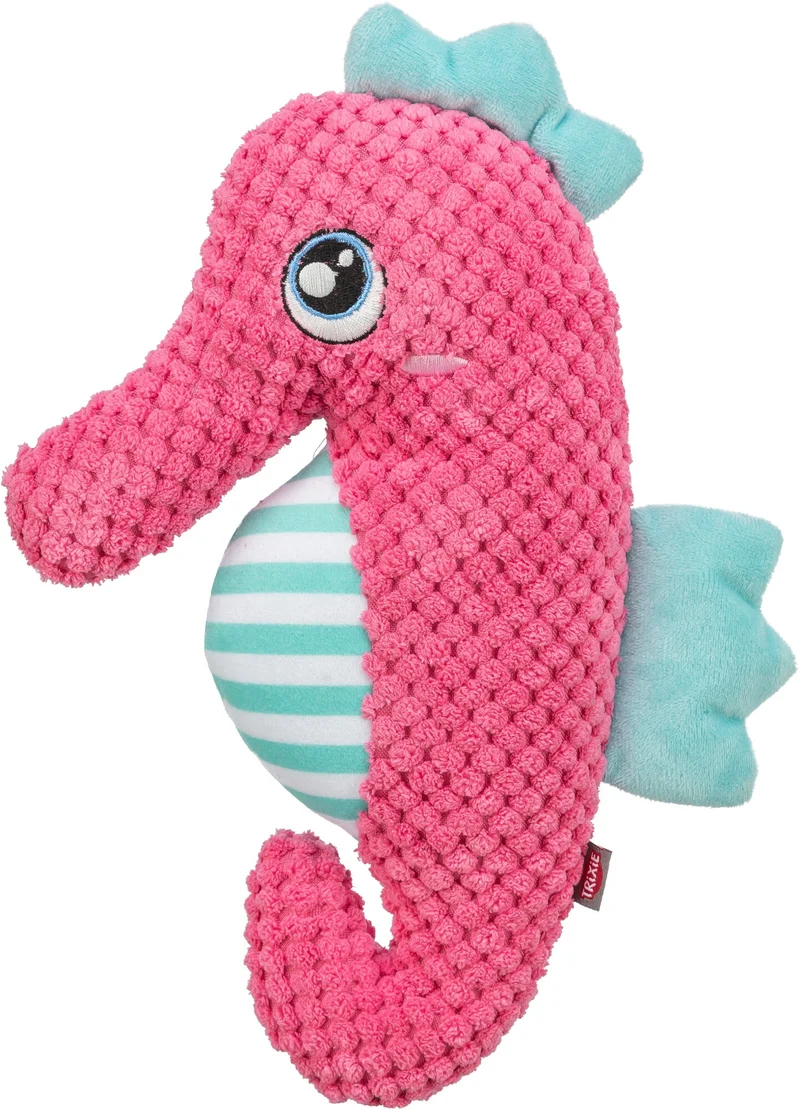 Seepferdchen