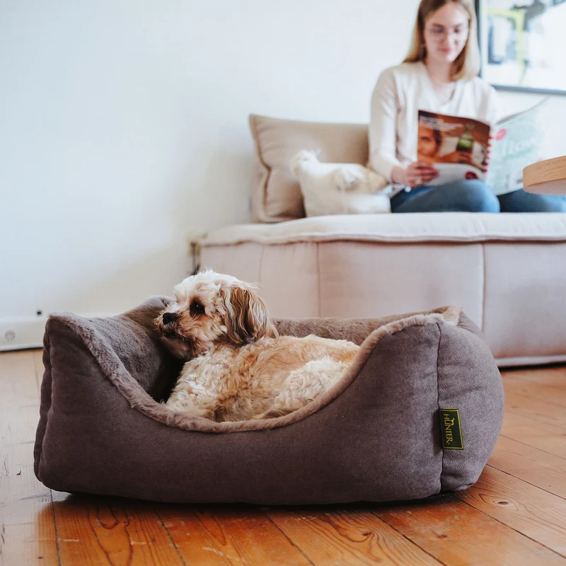Orthopädisches/Ergonomisches Hundesofa Rockford