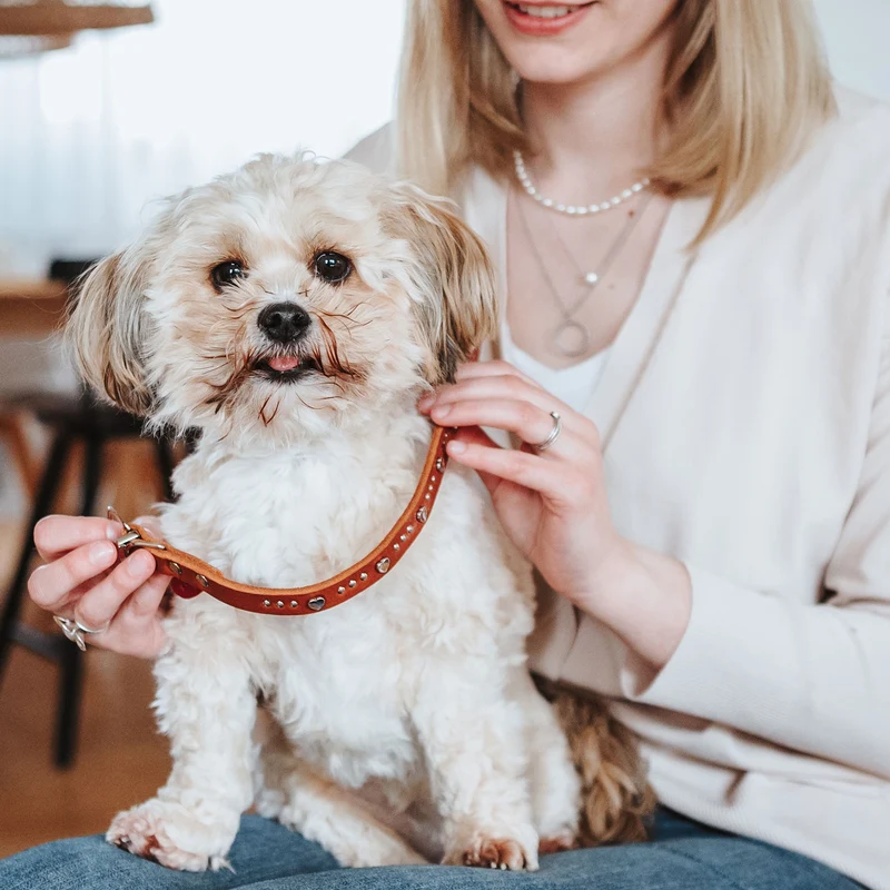 Halsband Aalborg Hearts