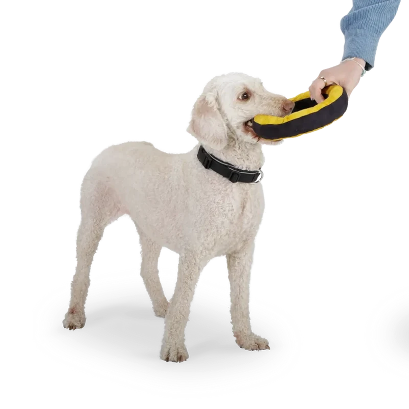 Redoggo Donut – Robustes Hundespielzeug aus Upcycling-Material