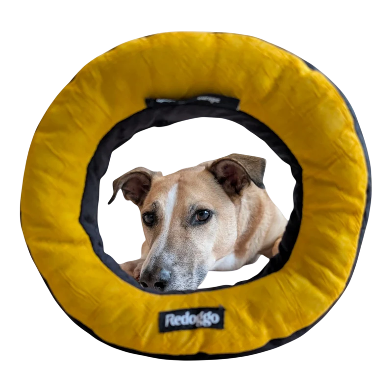 Redoggo Donut – Robustes Hundespielzeug aus Upcycling-Material