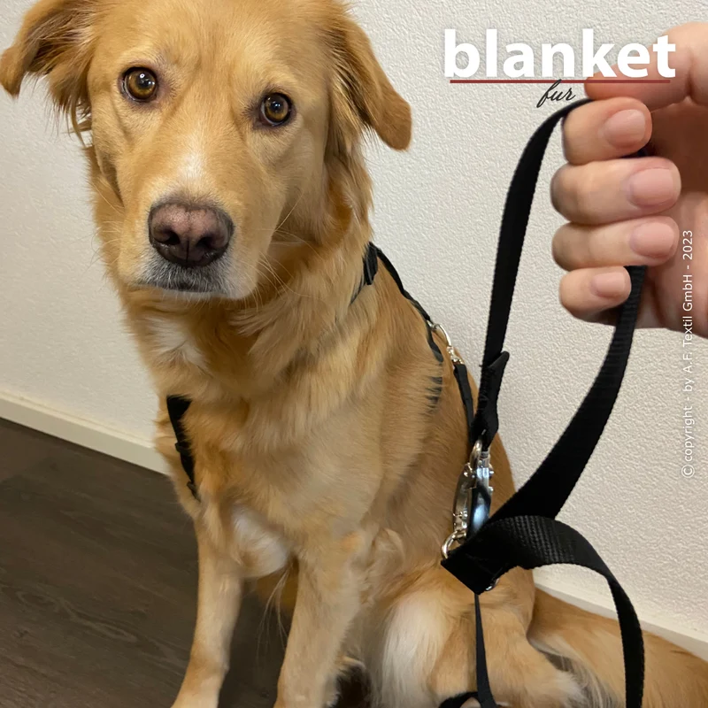 Blanket Fur – die kuschelige Reisedecke für alle Felle
