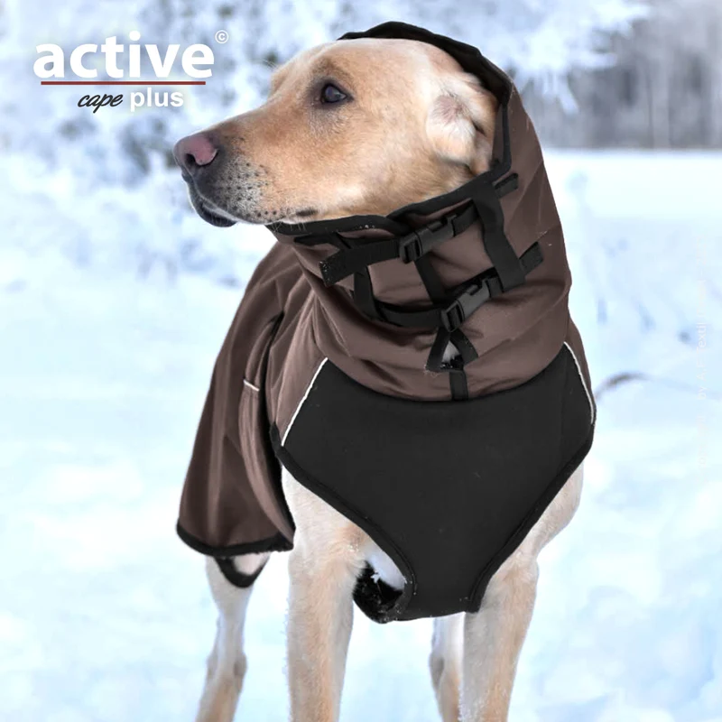 Active Cape Plus – Stylischer Wetterschutz für aktive Hunde
