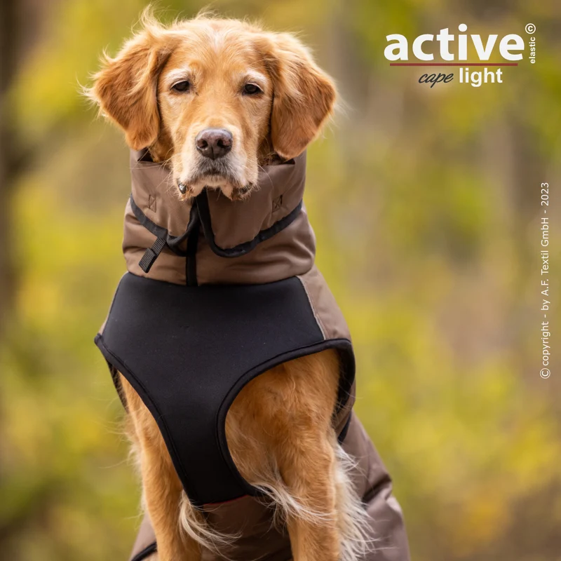 Active Cape Plus – Stylischer Wetterschutz für aktive Hunde