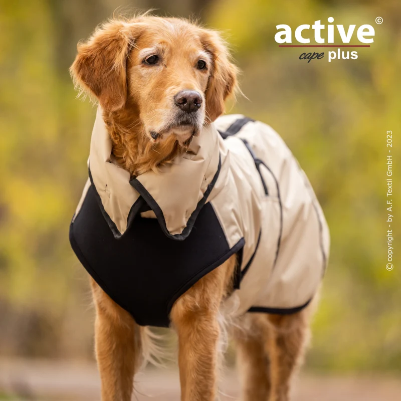 Active Cape Plus – Stylischer Wetterschutz für aktive Hunde