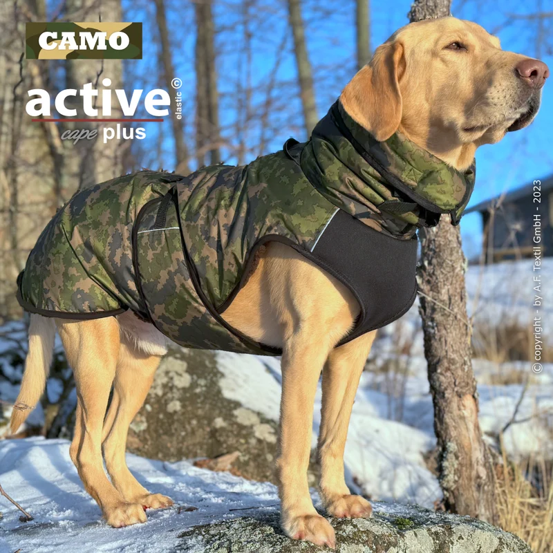 Active Cape Plus – Stylischer Wetterschutz für aktive Hunde