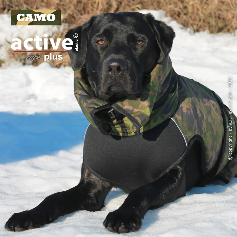 Active Cape Plus – Stylischer Wetterschutz für aktive Hunde