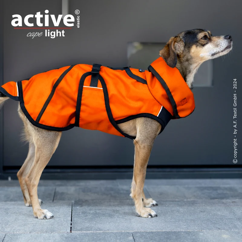 Active Cape Light Mini – Stylischer Wetterschutz für aktive Hunde