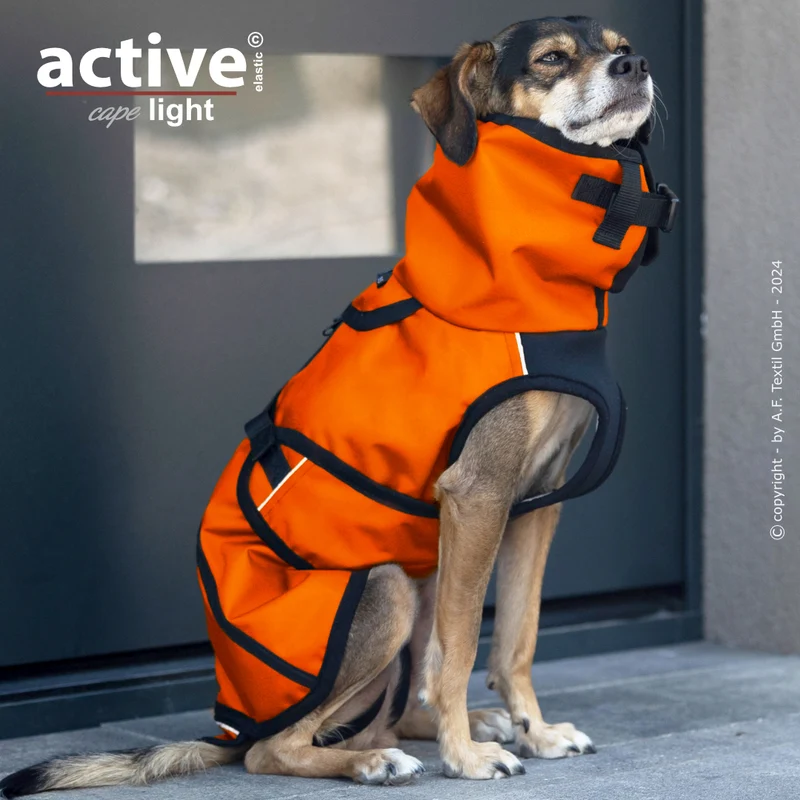 Active Cape Light Mini – Stylischer Wetterschutz für aktive Hunde