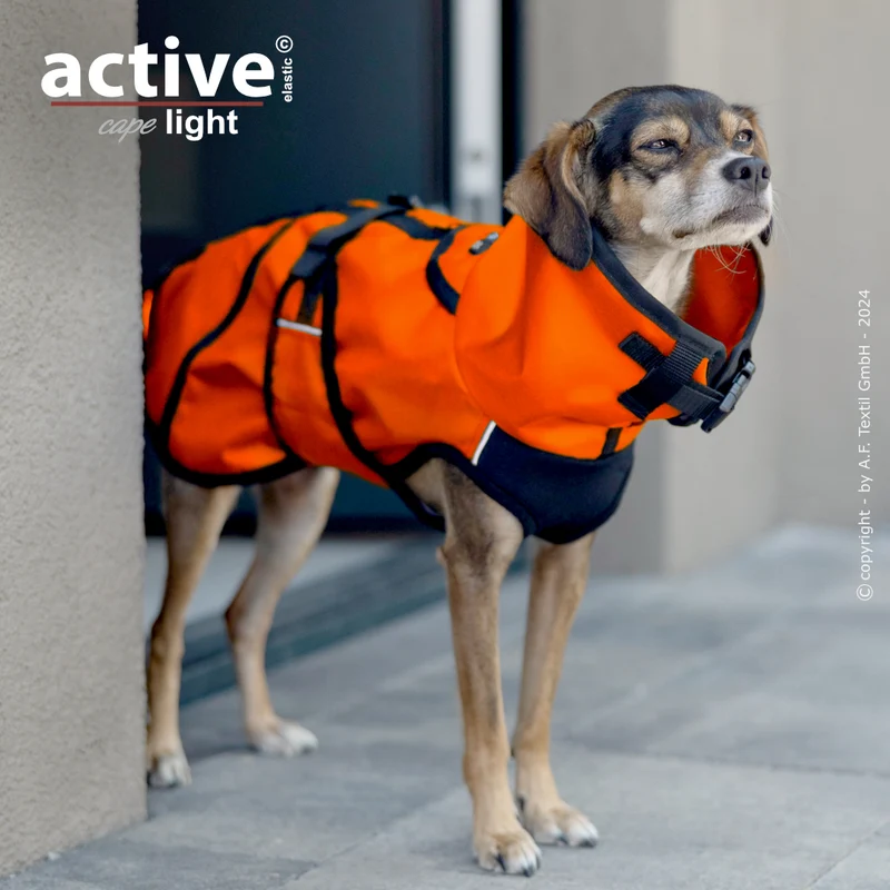 Active Cape Light Mini – Stylischer Wetterschutz für aktive Hunde