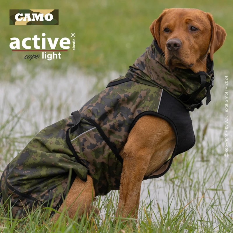 Active Cape Light – Stylischer Wetterschutz für aktive Hunde