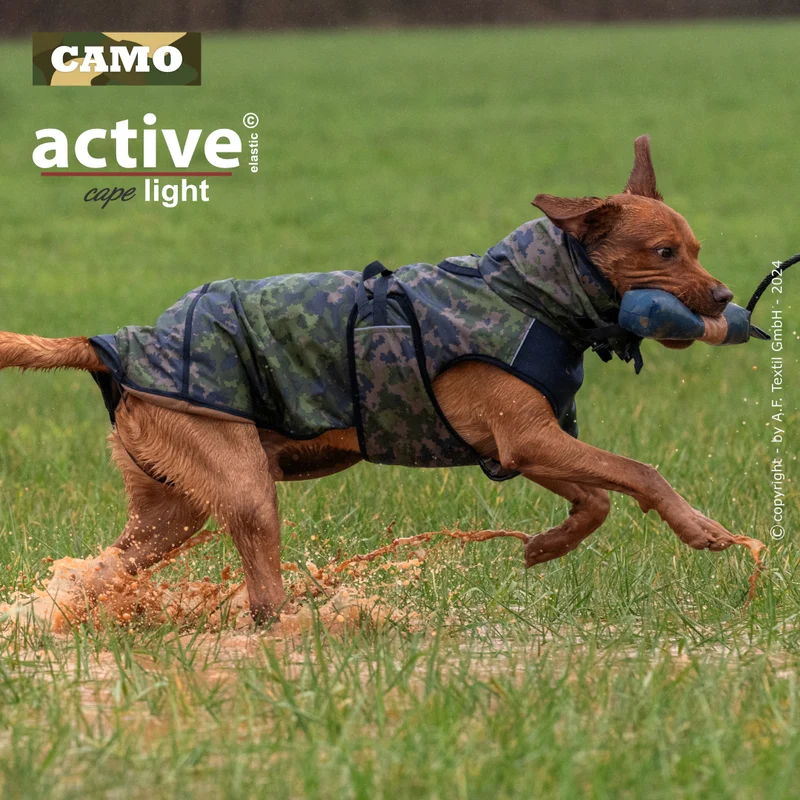 Active Cape Light – Stylischer Wetterschutz für aktive Hunde