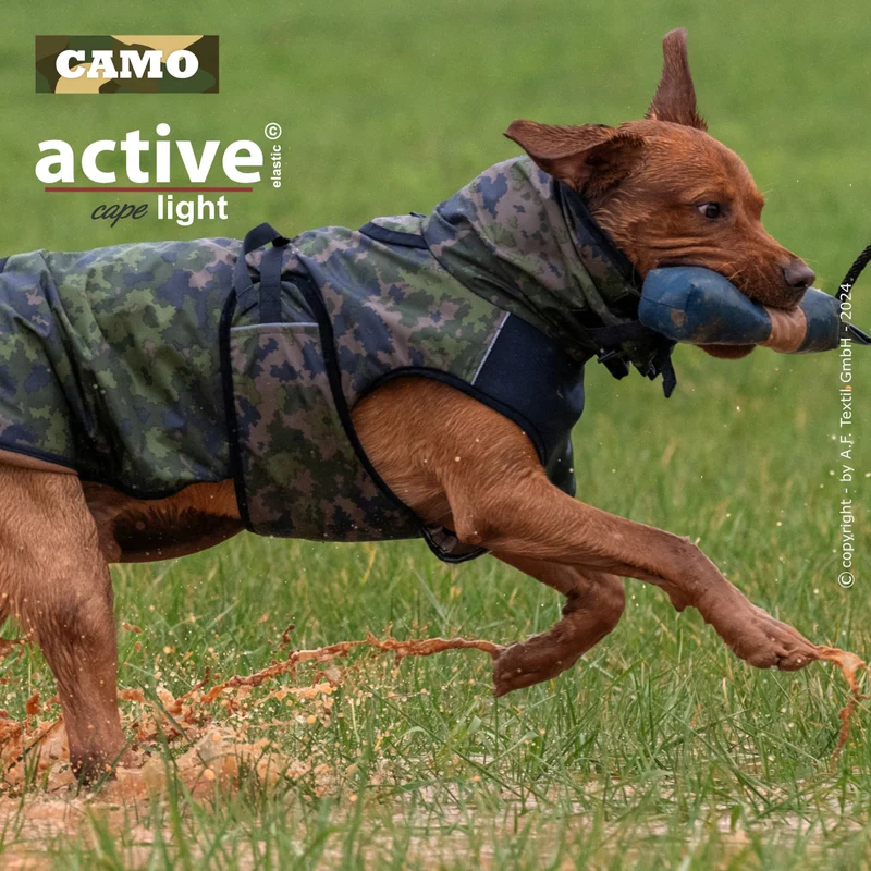 Active Cape Light – Stylischer Wetterschutz für aktive Hunde