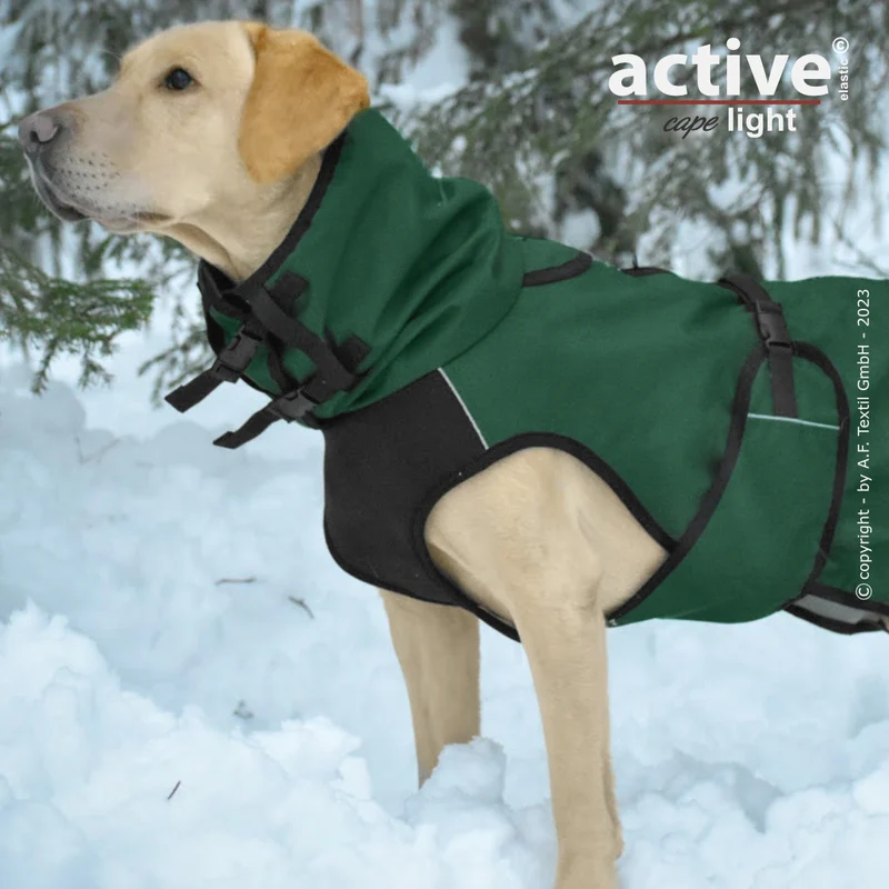 Active Cape Light – Stylischer Wetterschutz für aktive Hunde