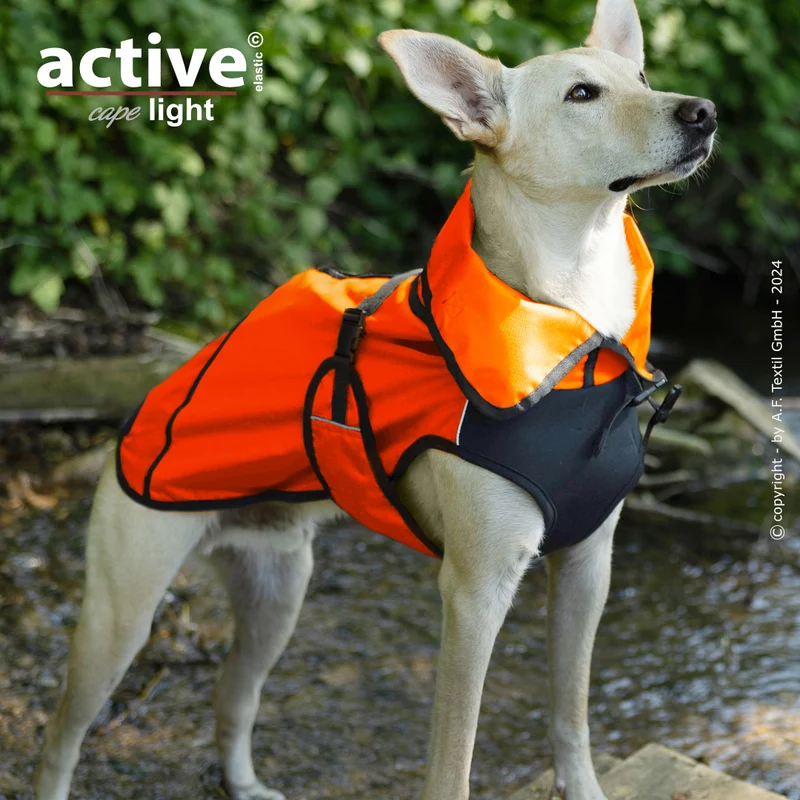 Active Cape Light – Stylischer Wetterschutz für aktive Hunde