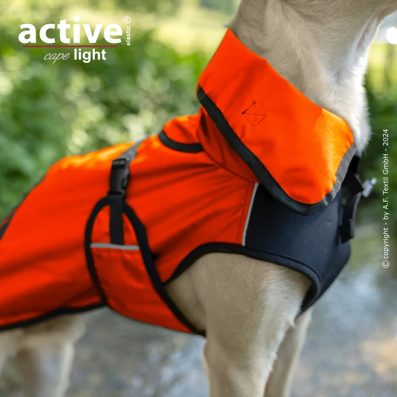 Active Cape Light – Stylischer Wetterschutz für aktive Hunde
