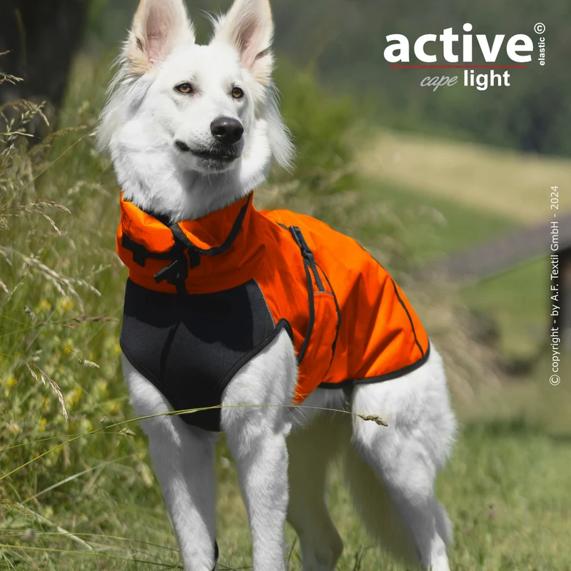 Active Cape Light – Stylischer Wetterschutz für aktive Hunde