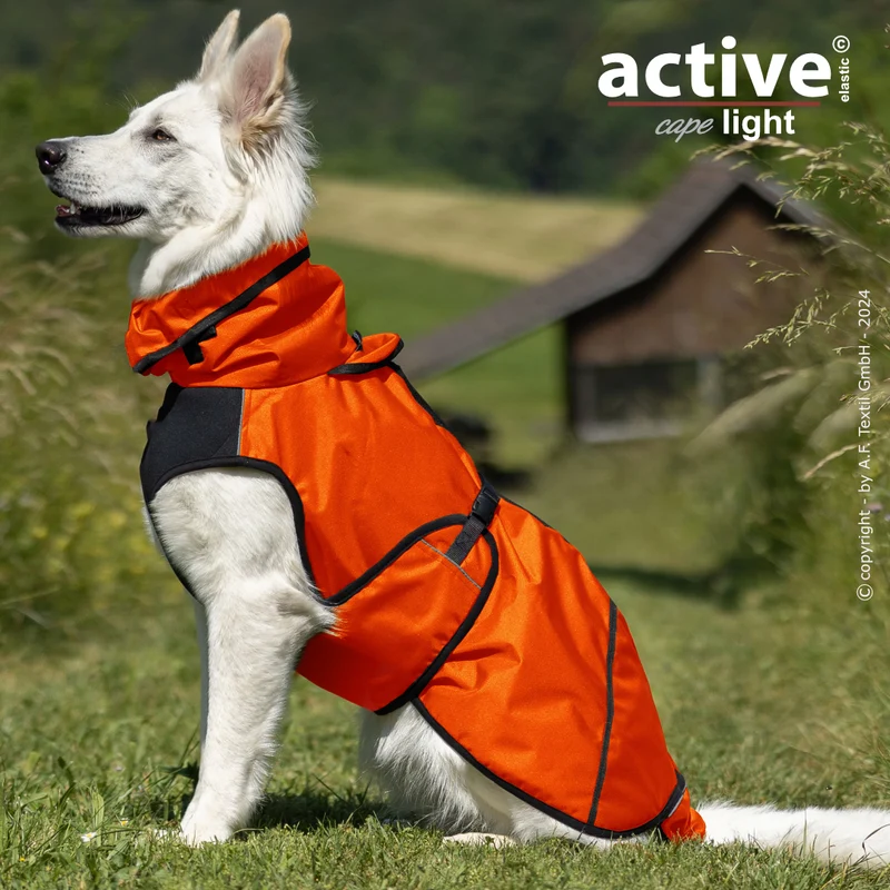 Active Cape Light – Stylischer Wetterschutz für aktive Hunde