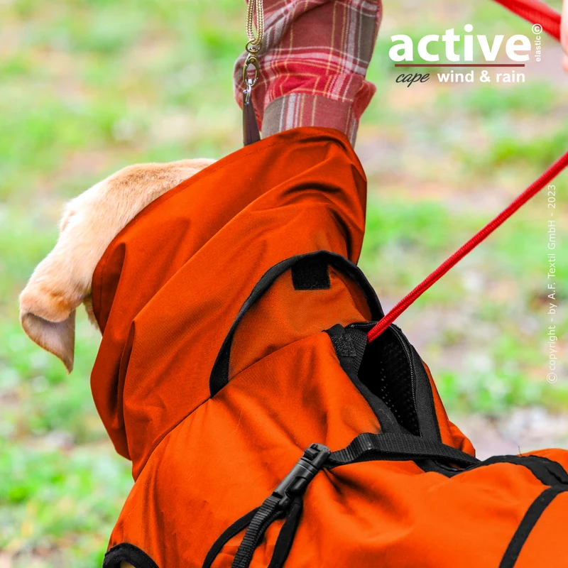 Active Cape WIND & RAIN – Stylischer Wetterschutz für aktive Hunde