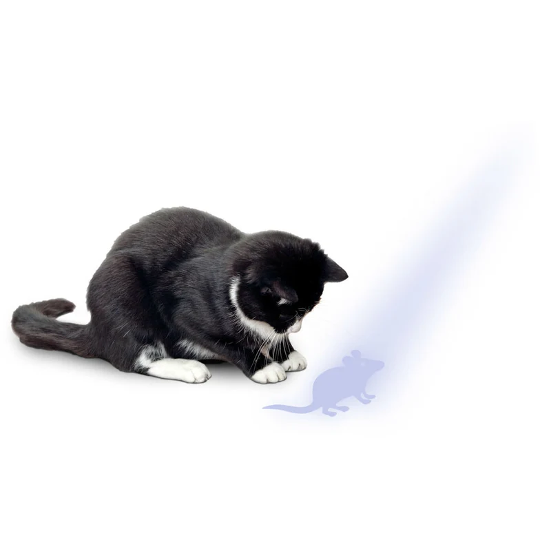 Katzen LED Pointer mit Maus Motiv