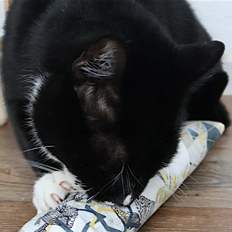 4Cats - Klassik Spielrolle