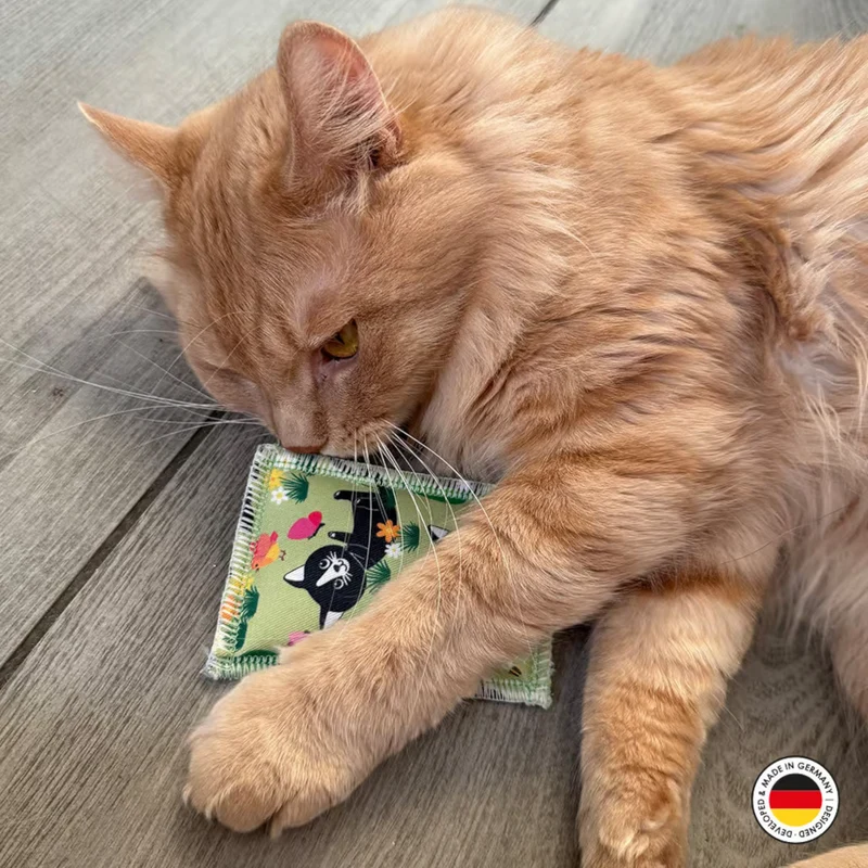 4Cats - Lucy Schmusekissen