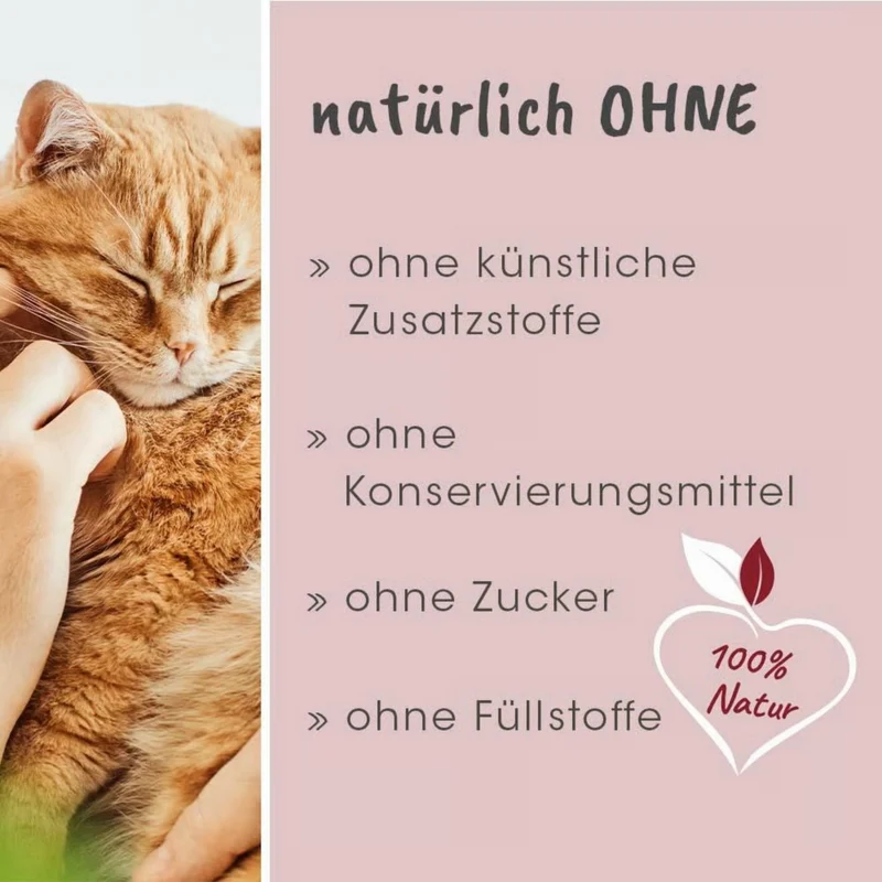 feliTATZ Bronchial