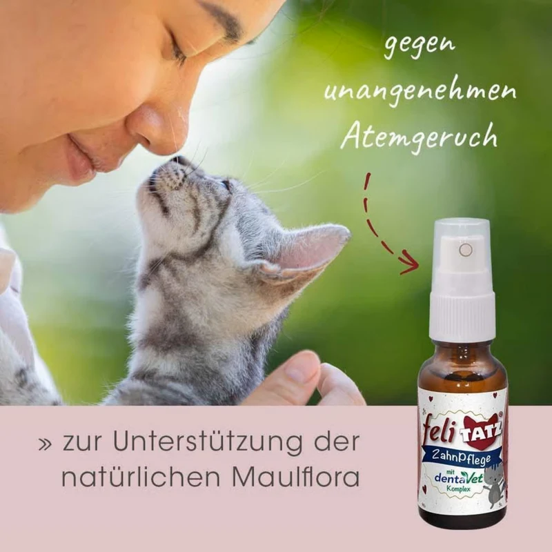 feliTATZ ZahnPflege