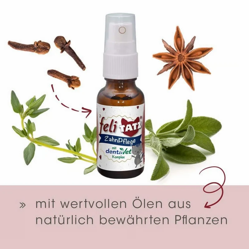 feliTATZ ZahnPflege