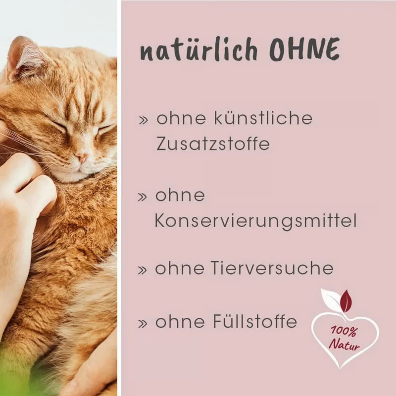 feliTATZ ZahnPflege
