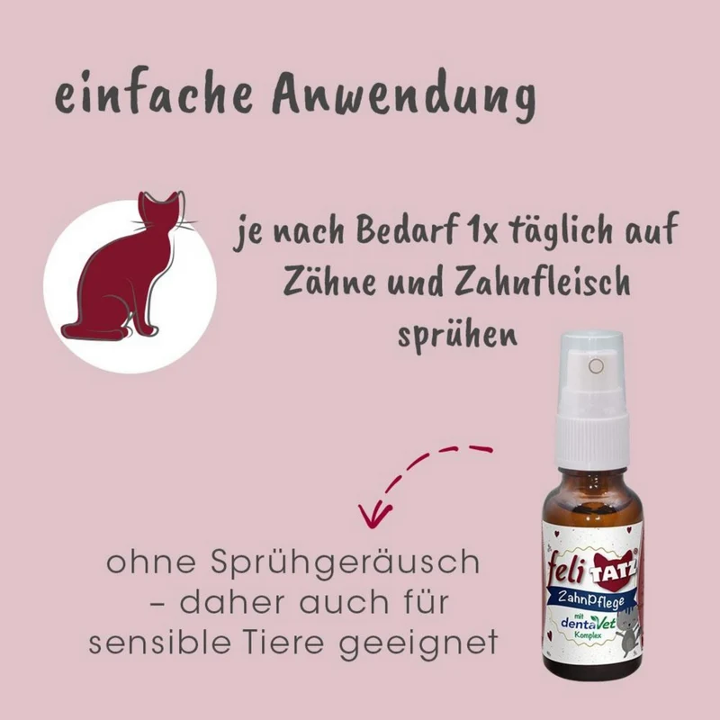 feliTATZ ZahnPflege